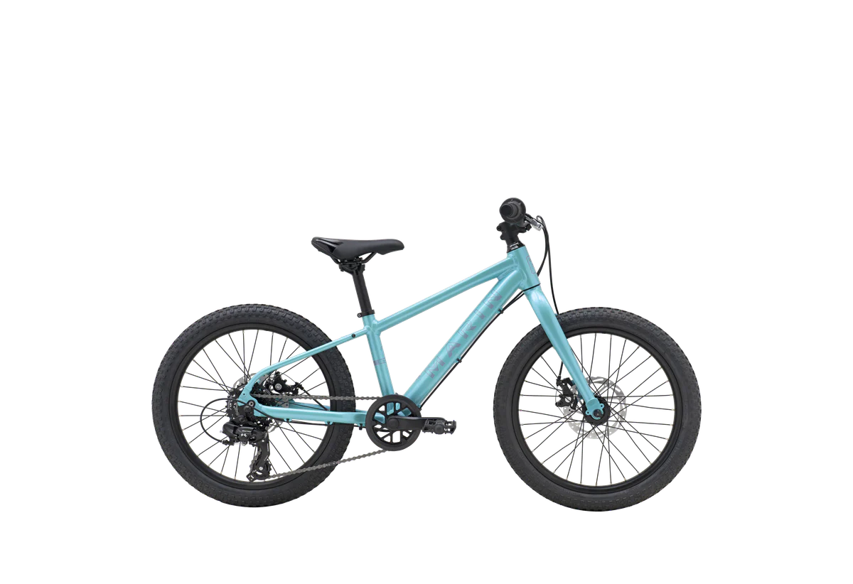 Bicicleta Infantil Bayview Trail Aro 20 - Image 3