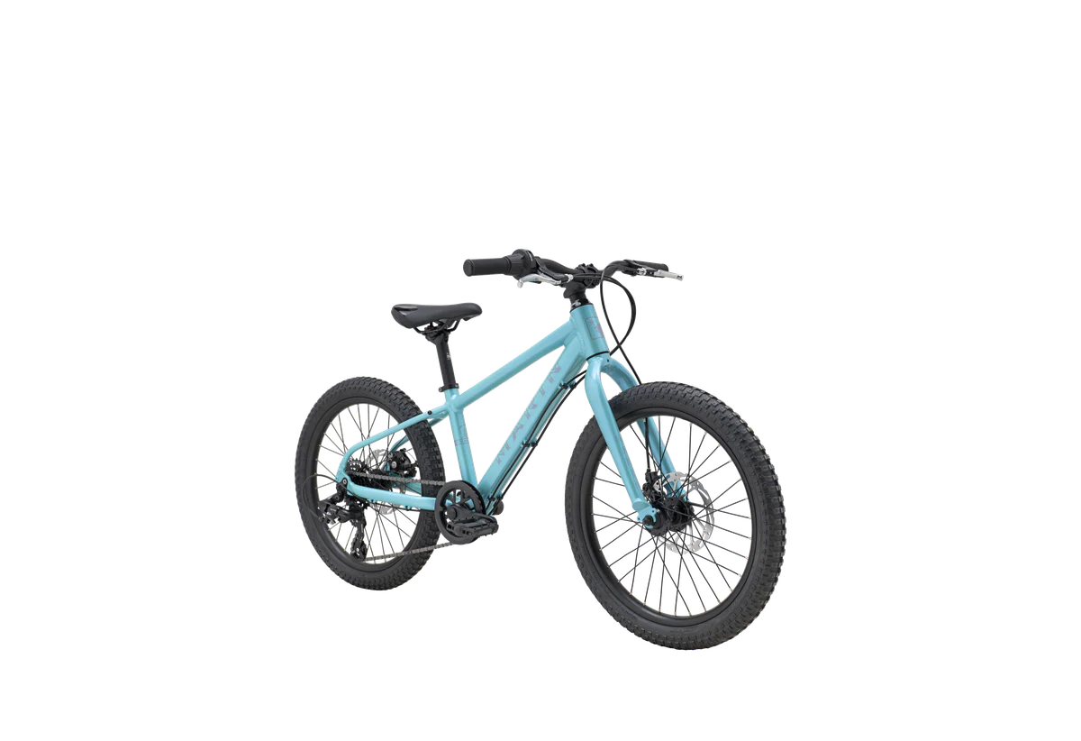 Bicicleta Infantil Bayview Trail Aro 20 - Image 4