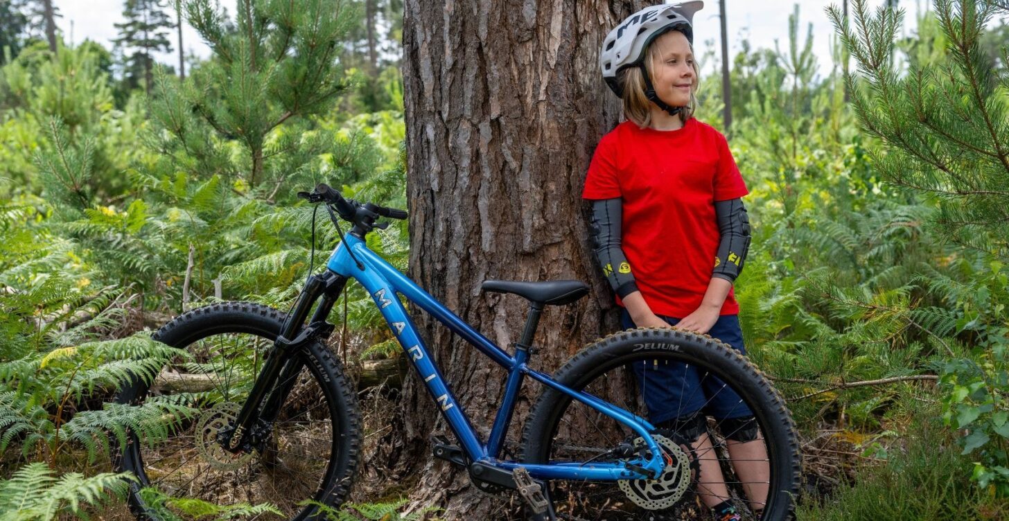 Bicicleta Mountain Bike San Quentin Aro 24 - Image 3