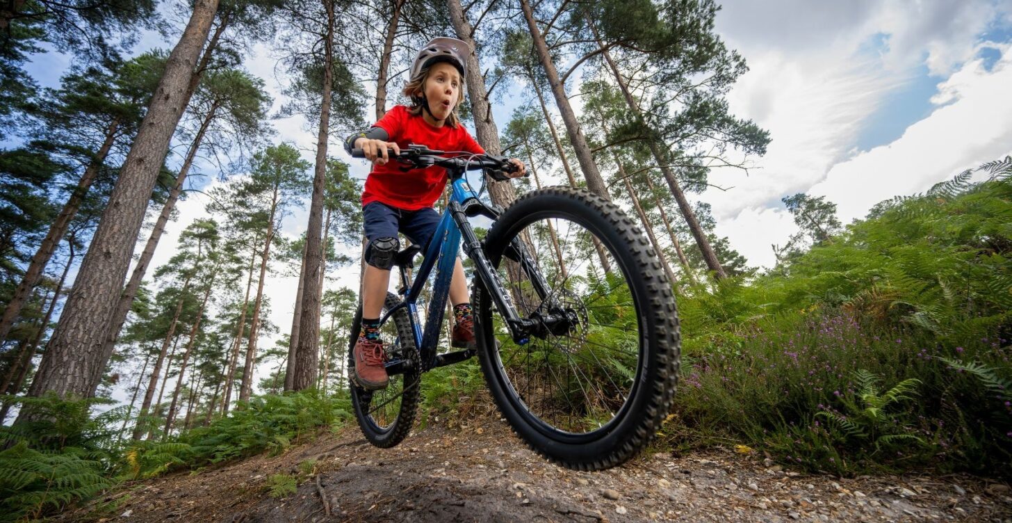 Bicicleta Mountain Bike San Quentin Aro 24 - Image 5